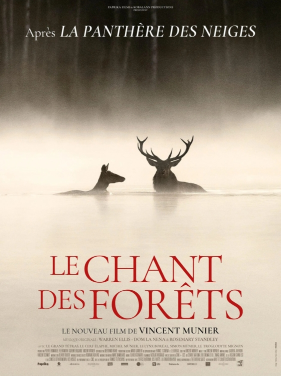 LE CHANT DES FORÊTS