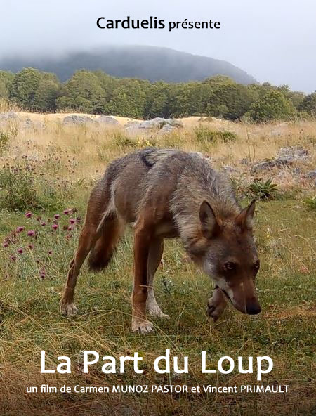 LA PART DU LOUP